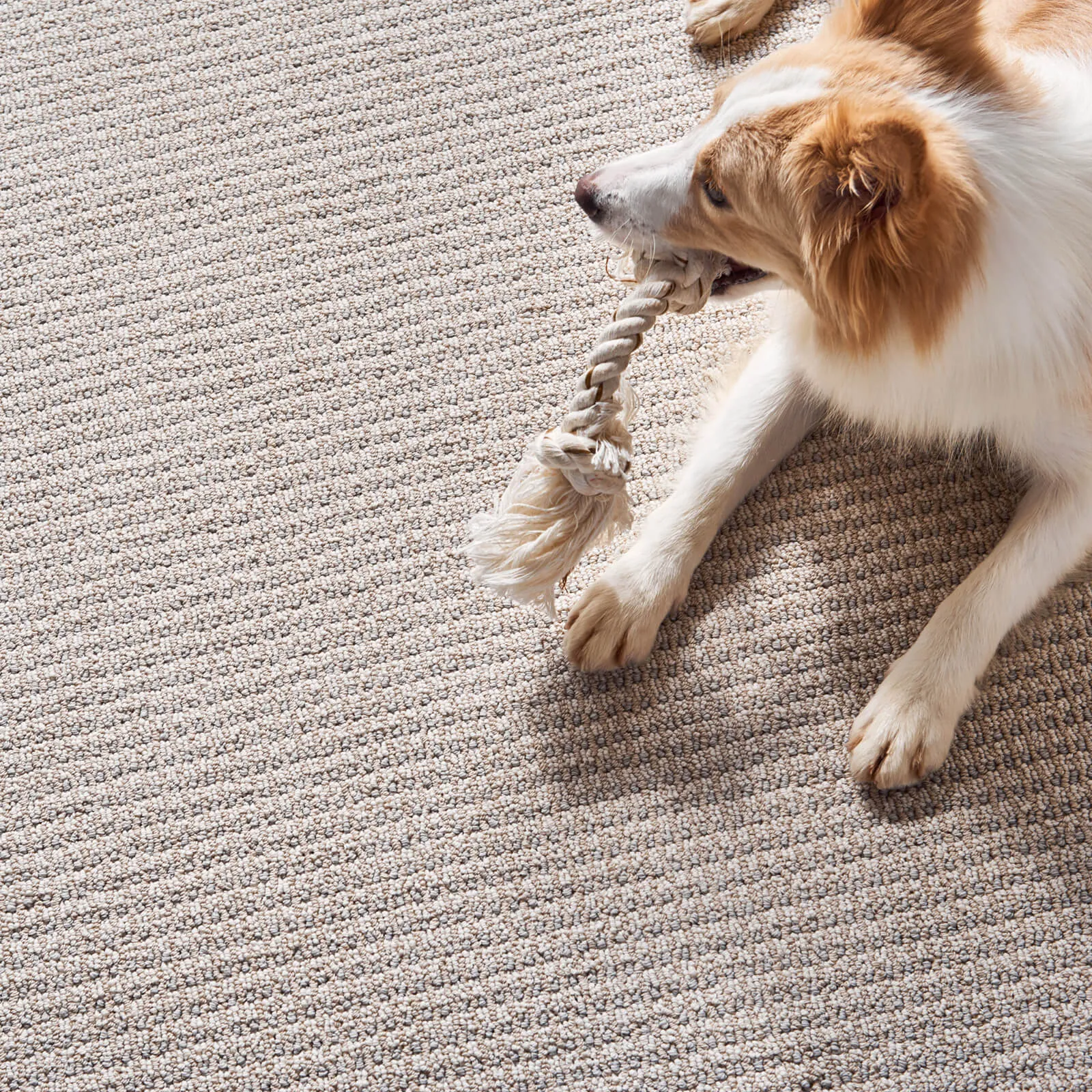 Carpet Flooring | McSwain Carpets & Floors